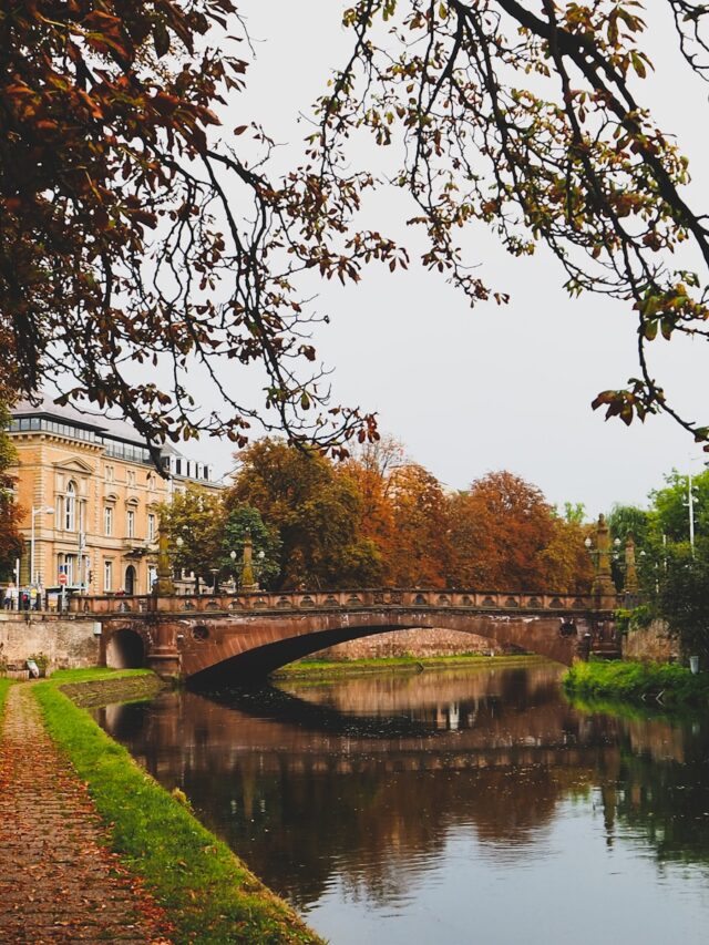 ponts de Strasbourg