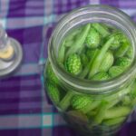 ferments maison