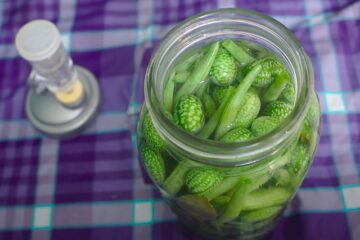 ferments maison