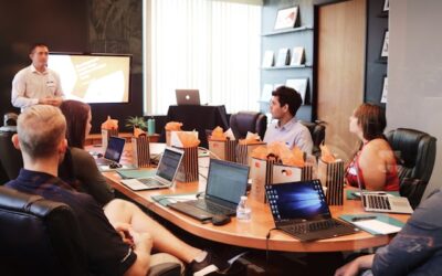 mentorat professionnel