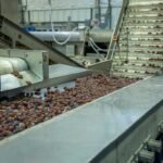 Produits secs transportés sur convoyeur dans usine industrielle