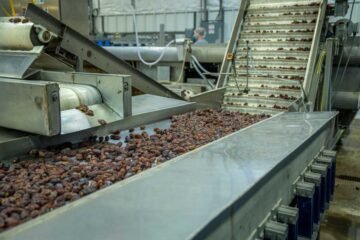 Produits secs transportés sur convoyeur dans usine industrielle